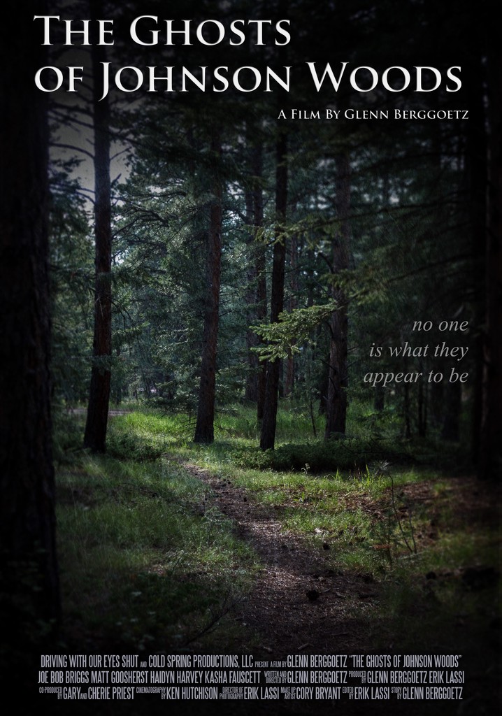 The Ghosts of Johnson Woods poster