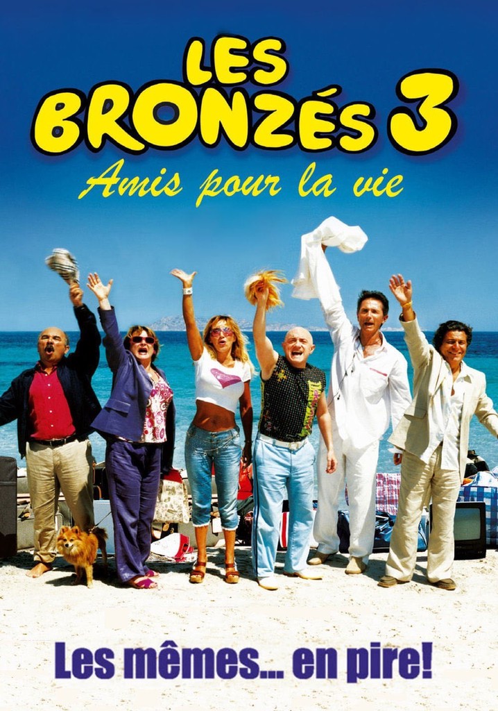 French Fried Vacation 3 poster