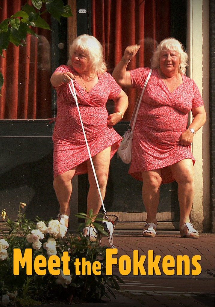 Meet the Fokkens poster
