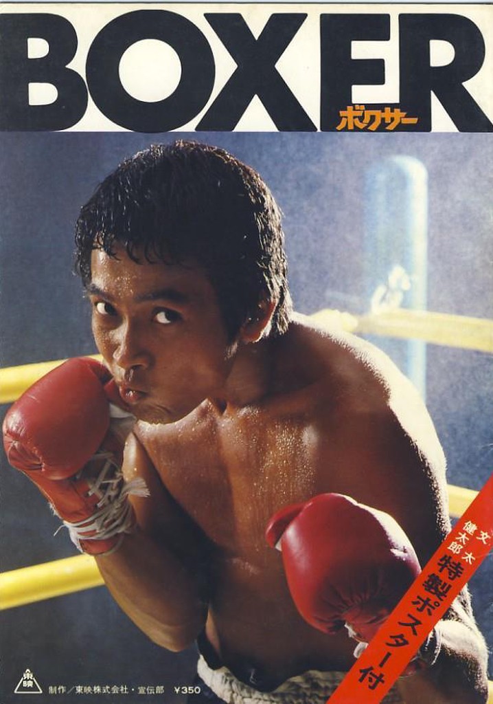 Boxer poster