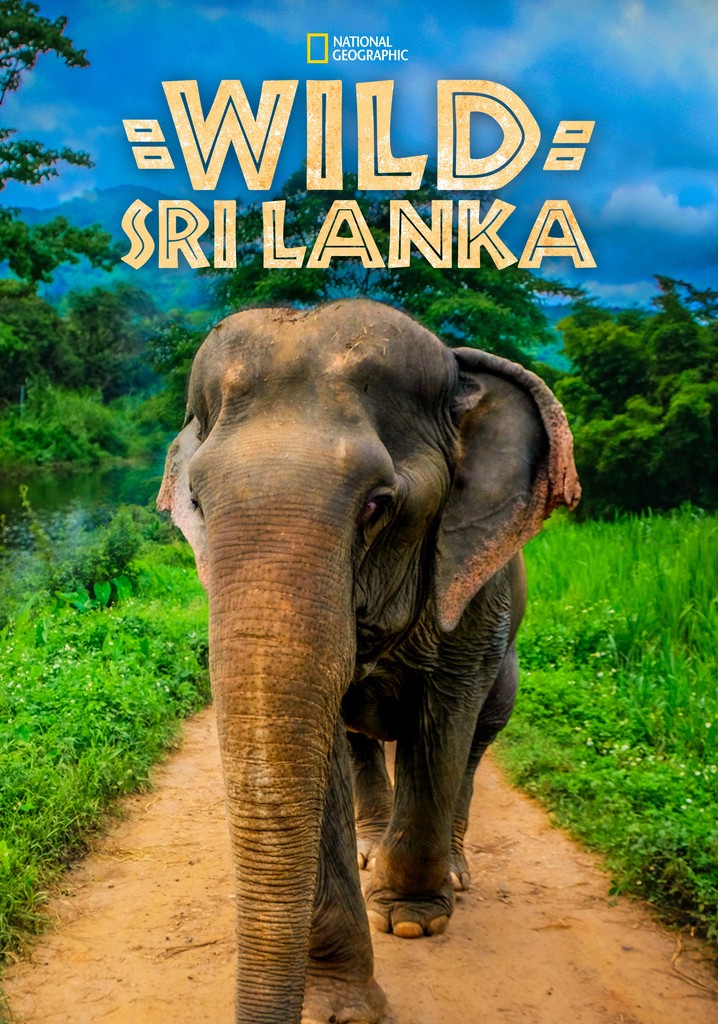 Wild Sri Lanka poster