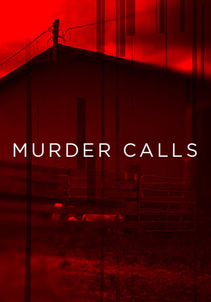 Murder Calls poster