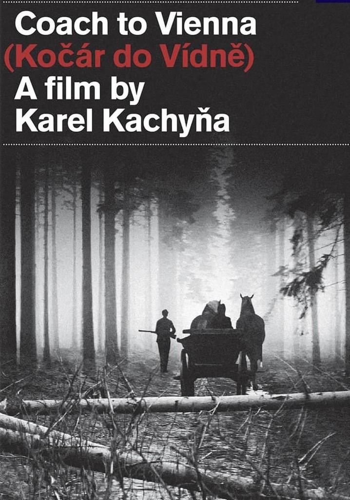 Carriage to Vienna poster