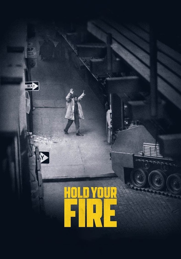 Hold Your Fire poster
