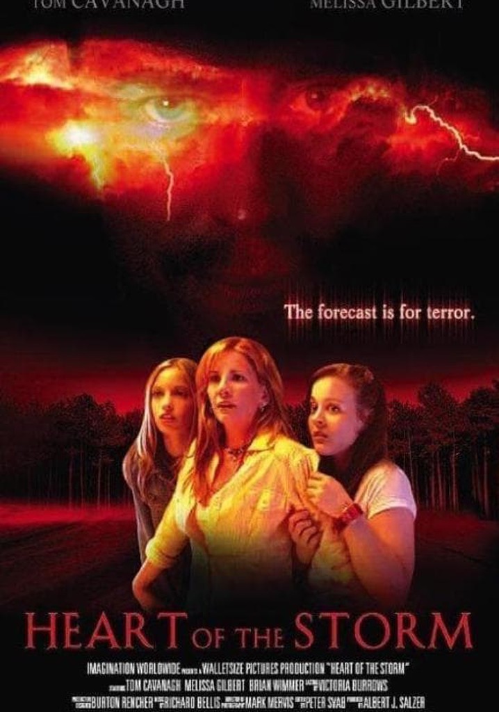 Heart of the Storm poster