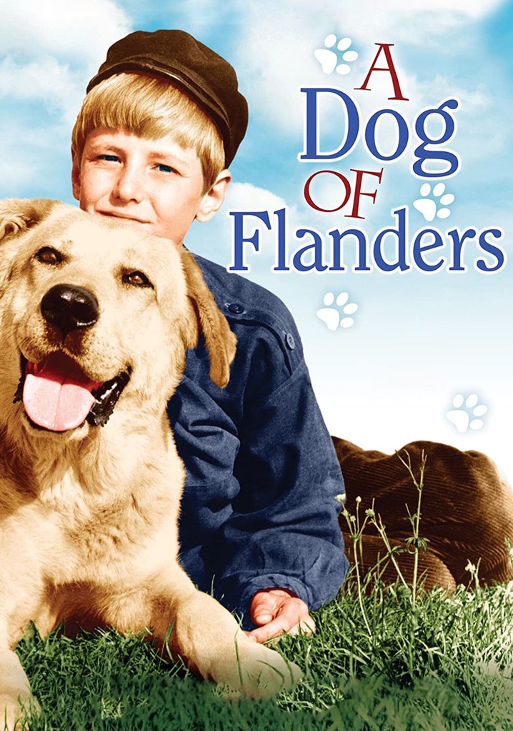 A Dog of Flanders poster