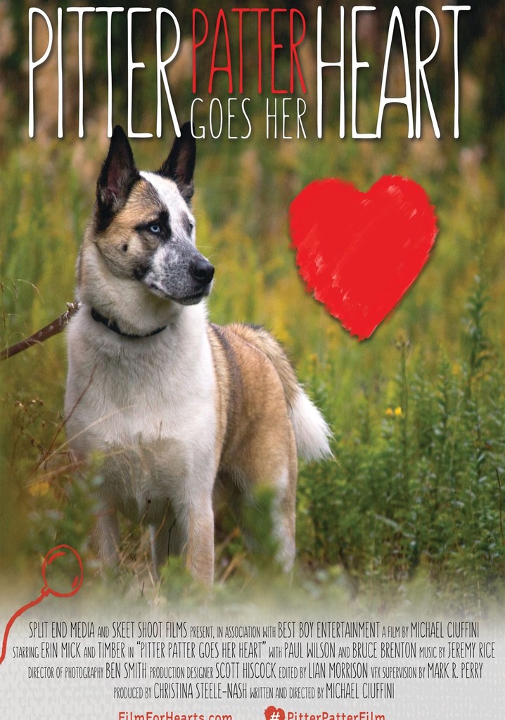Pitter Patter Goes My Heart poster