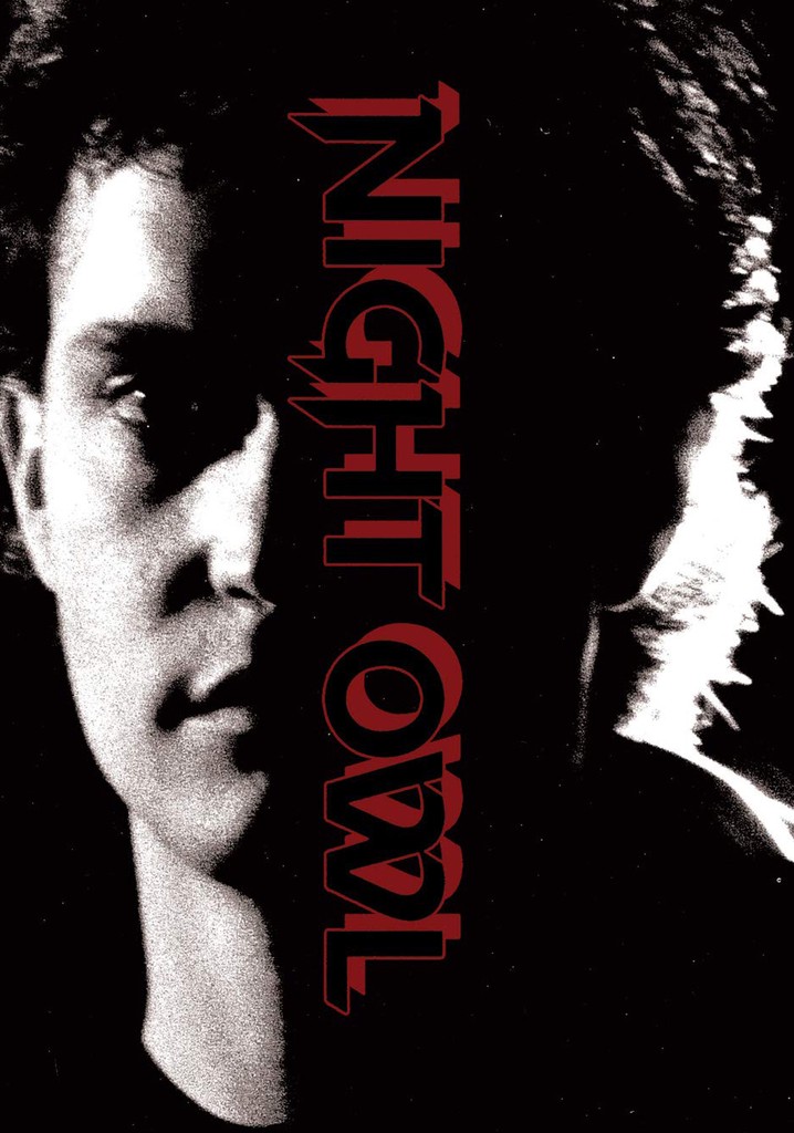 Night Owl poster