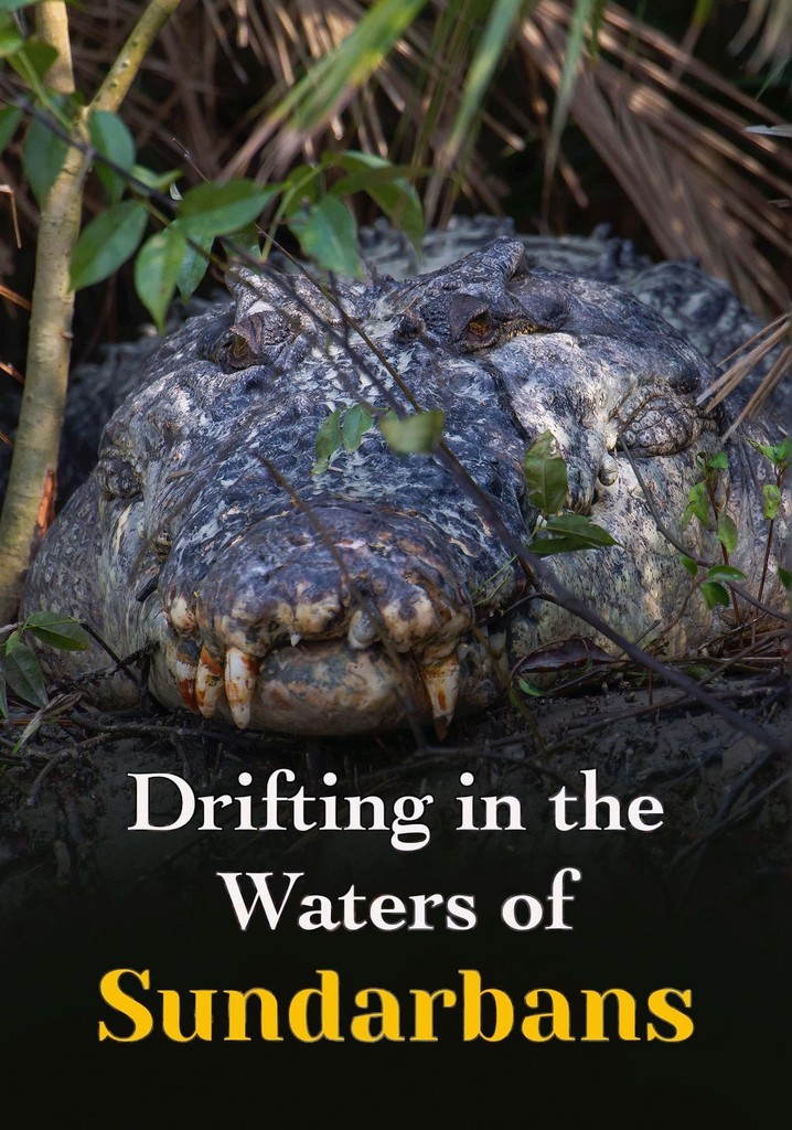 Drifting in the Waters of Sundarbans poster