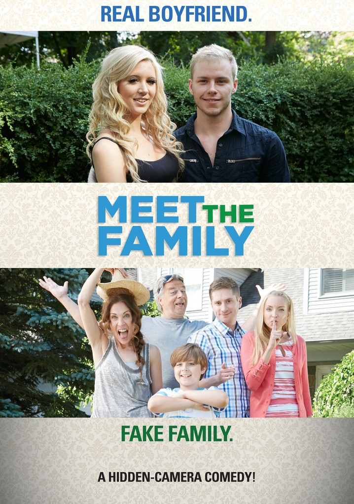 Meet the Family poster