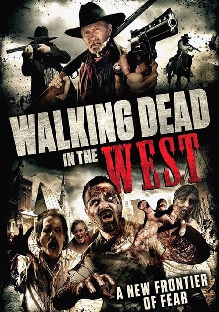 Walking Dead In The West poster