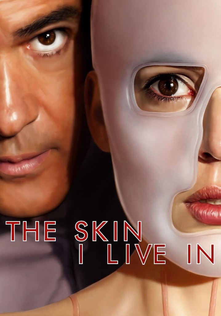 The Skin I Live In poster