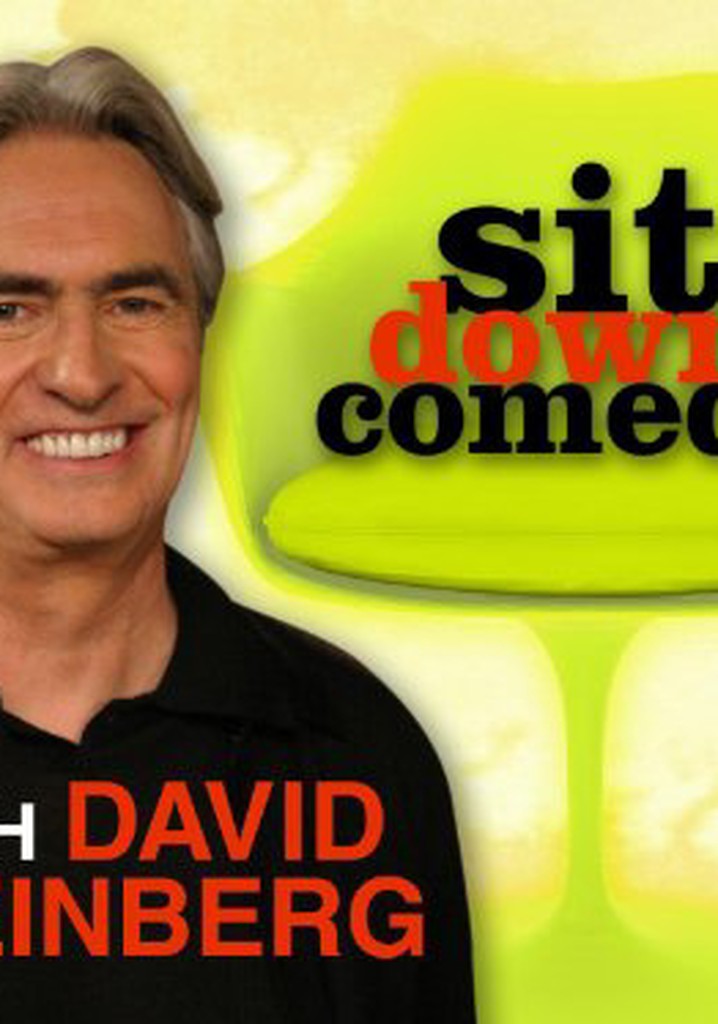 Sit Down Comedy with David Steinberg poster