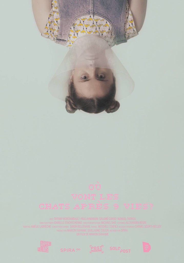 Where Do Cats Go After 9 Lives? poster