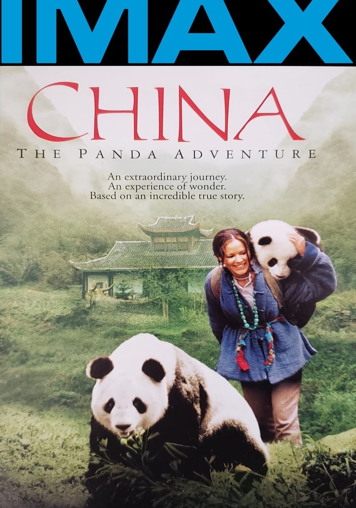 China: The Panda Adventure poster