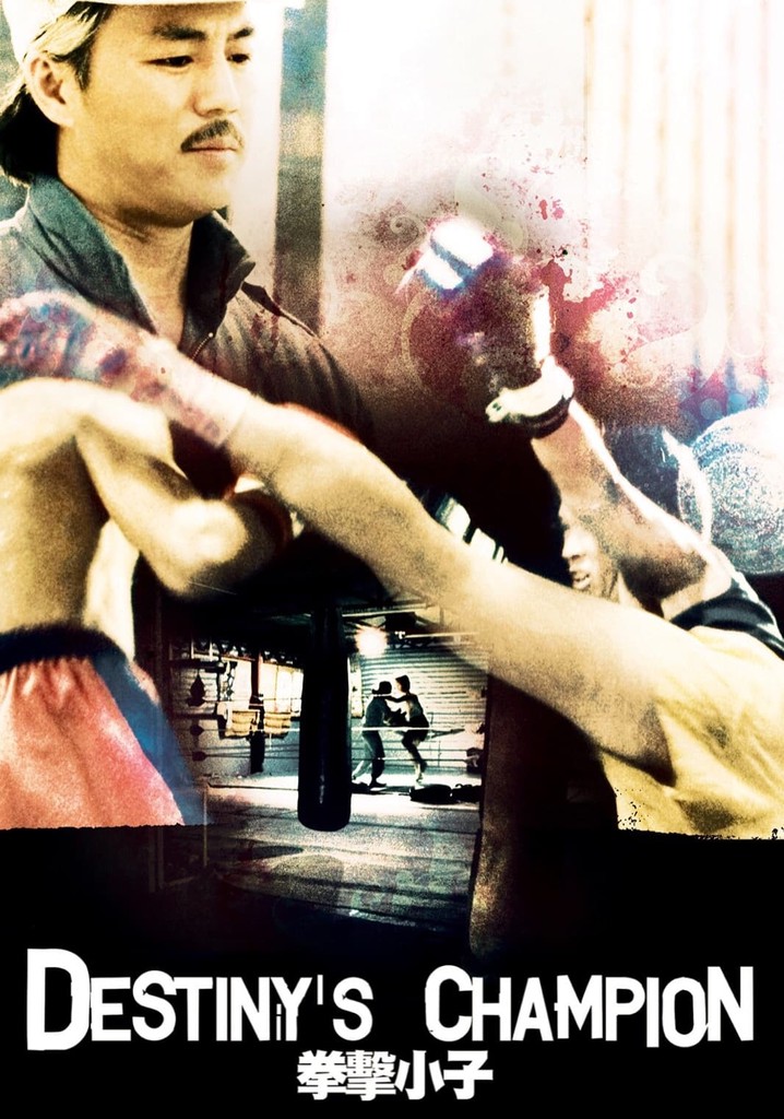 Destiny's Champion poster