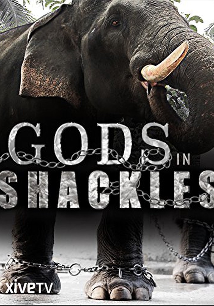 Gods in Shackles poster