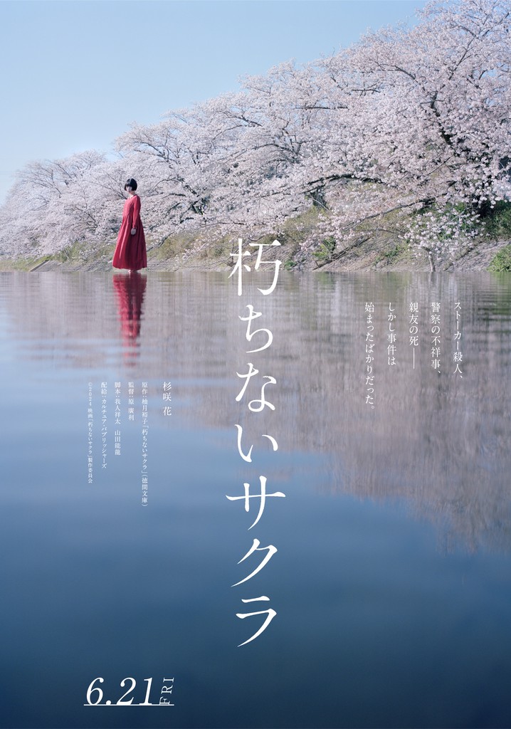 Sakura poster
