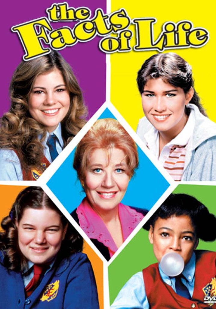 The Facts of Life poster