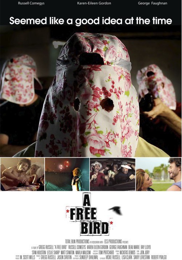 A Free Bird poster
