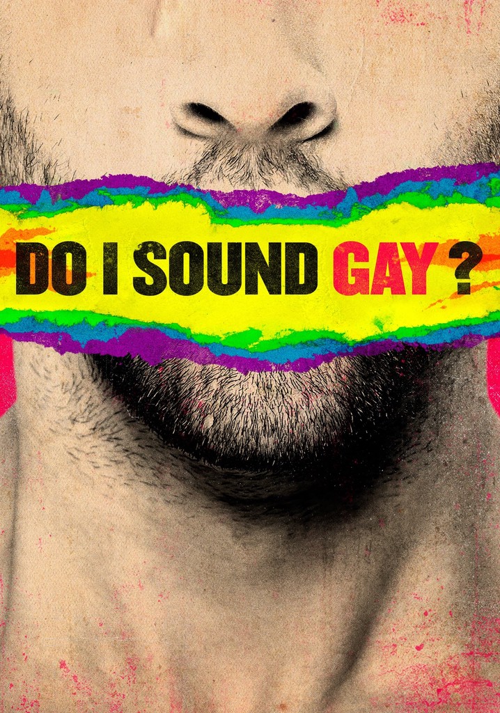 Do I Sound Gay? poster