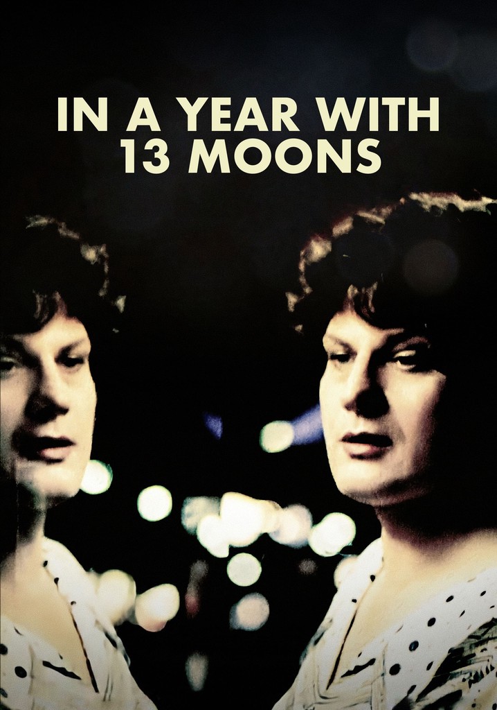 In a Year with 13 Moons poster