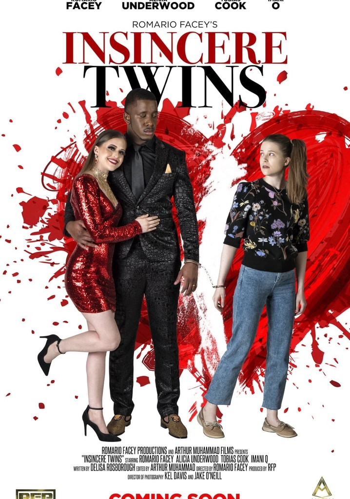 Insincere Twins poster