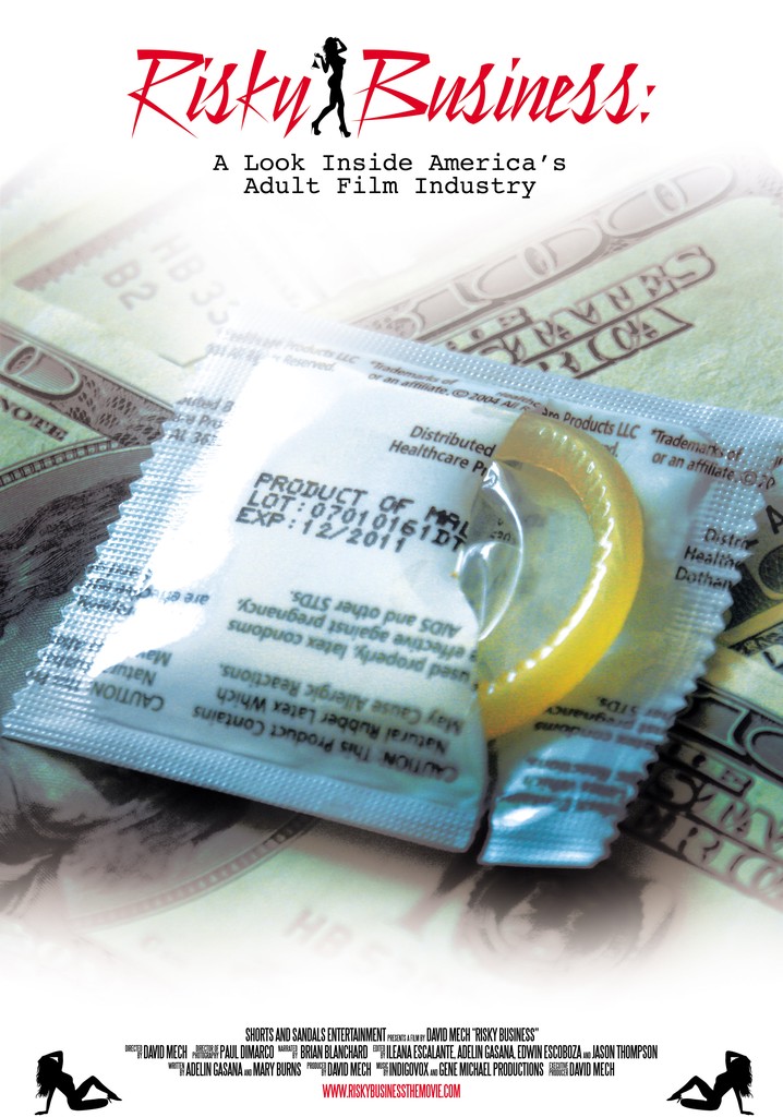 Risky Business: A Look Inside America's Adult Film Industry poster