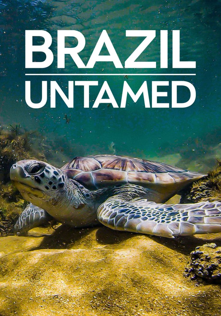 Brazil Untamed poster