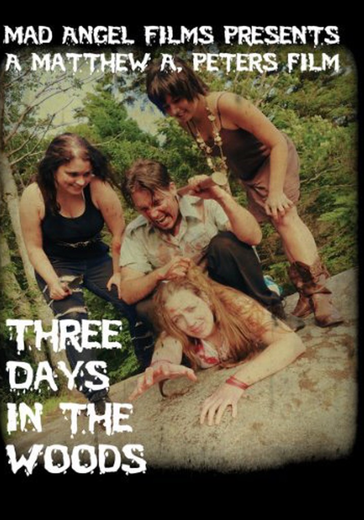 Three Days in the Woods poster