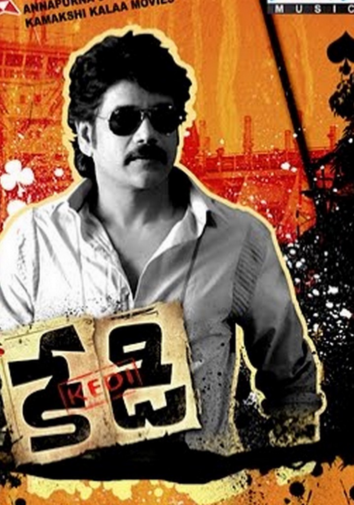 Kedi poster