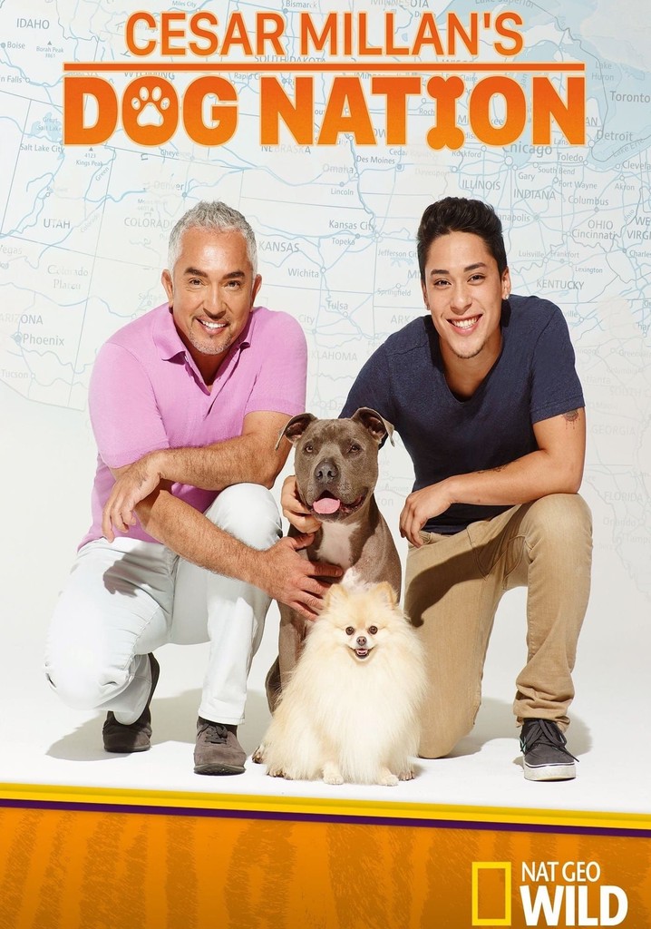 Cesar Millan's Dog Nation poster