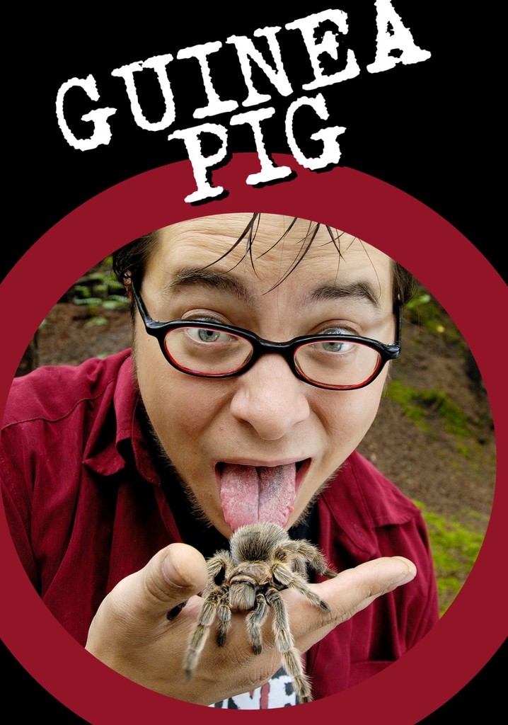 Guinea Pig poster
