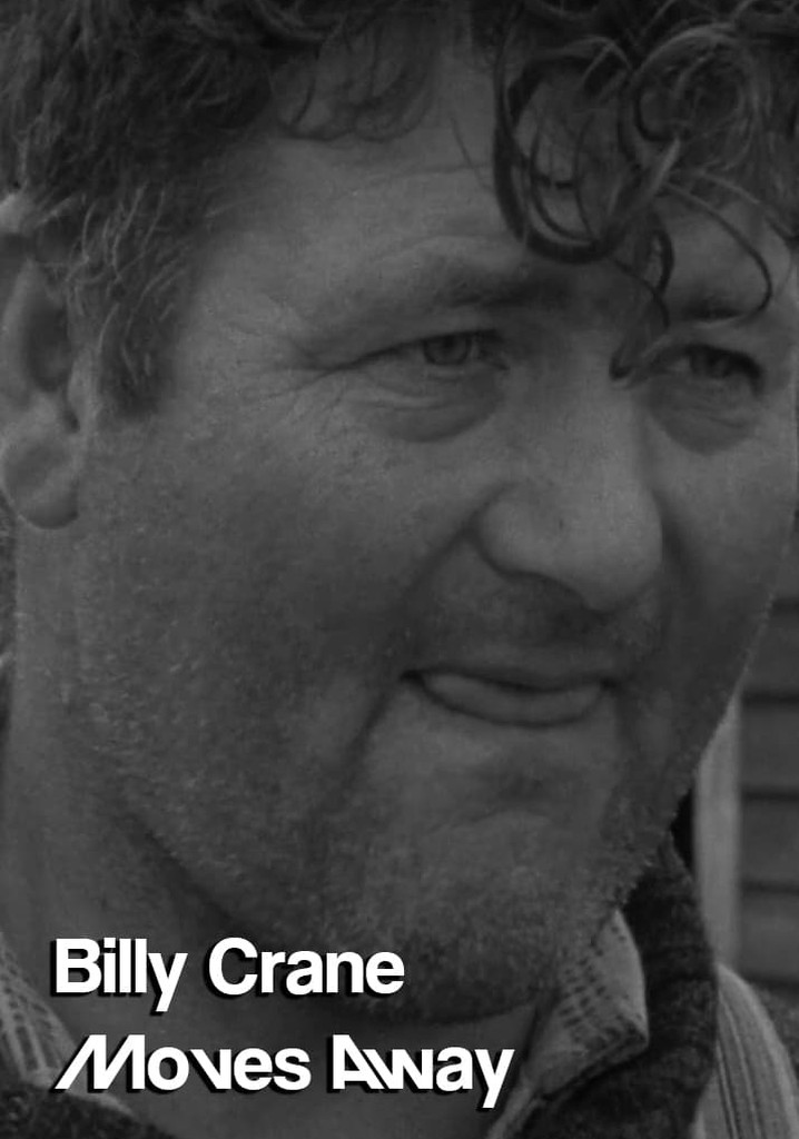 Billy Crane Moves Away poster