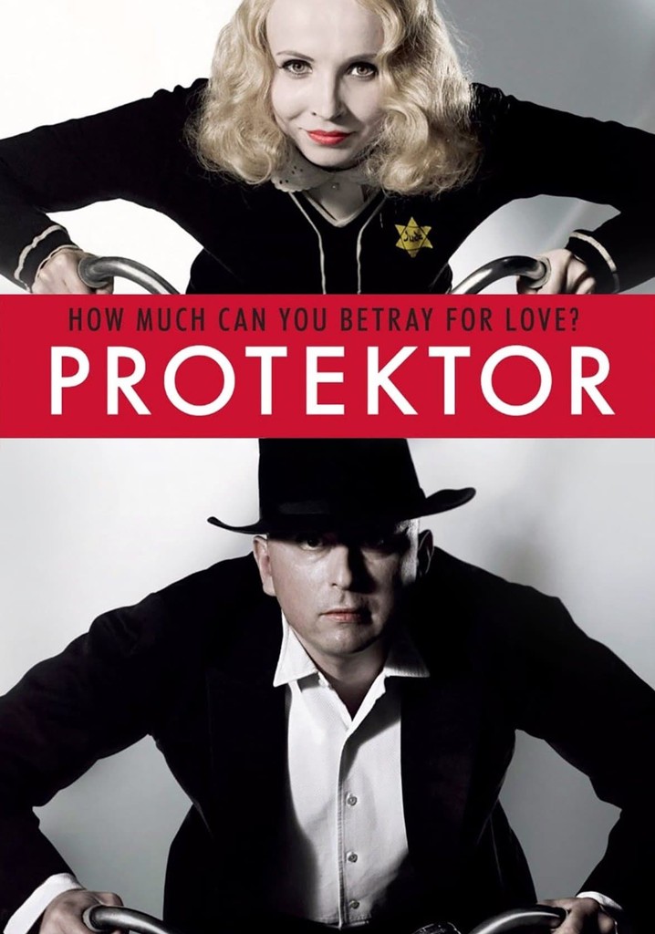 The Protector poster