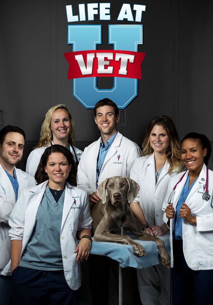 Life at Vet U poster