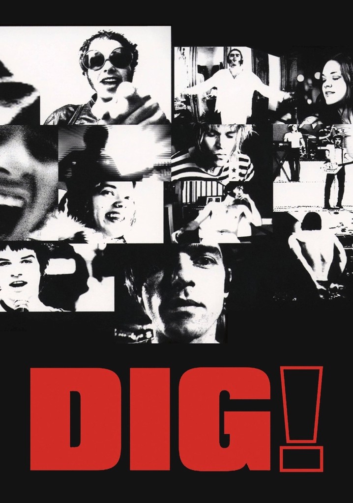 Dig! poster