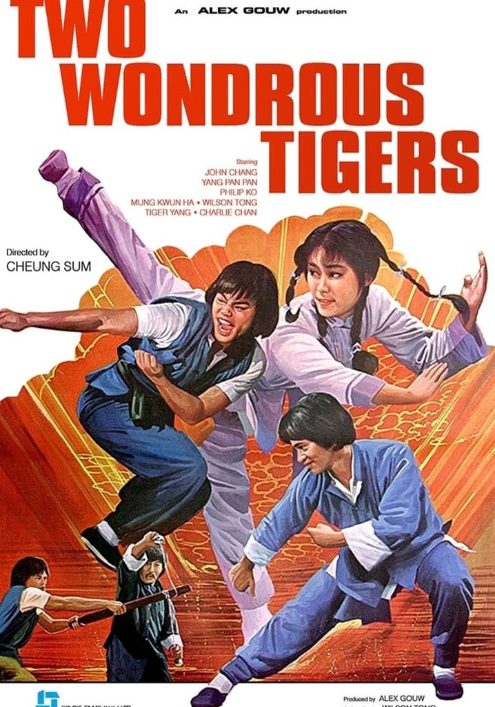 Two Wondrous Tigers poster
