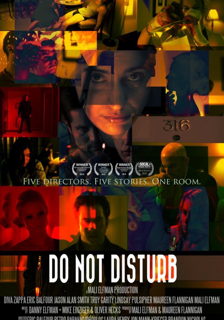 Do Not Disturb poster