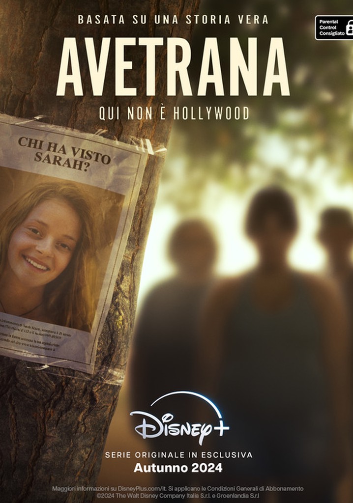 This Is Not Hollywood - Avetrana poster
