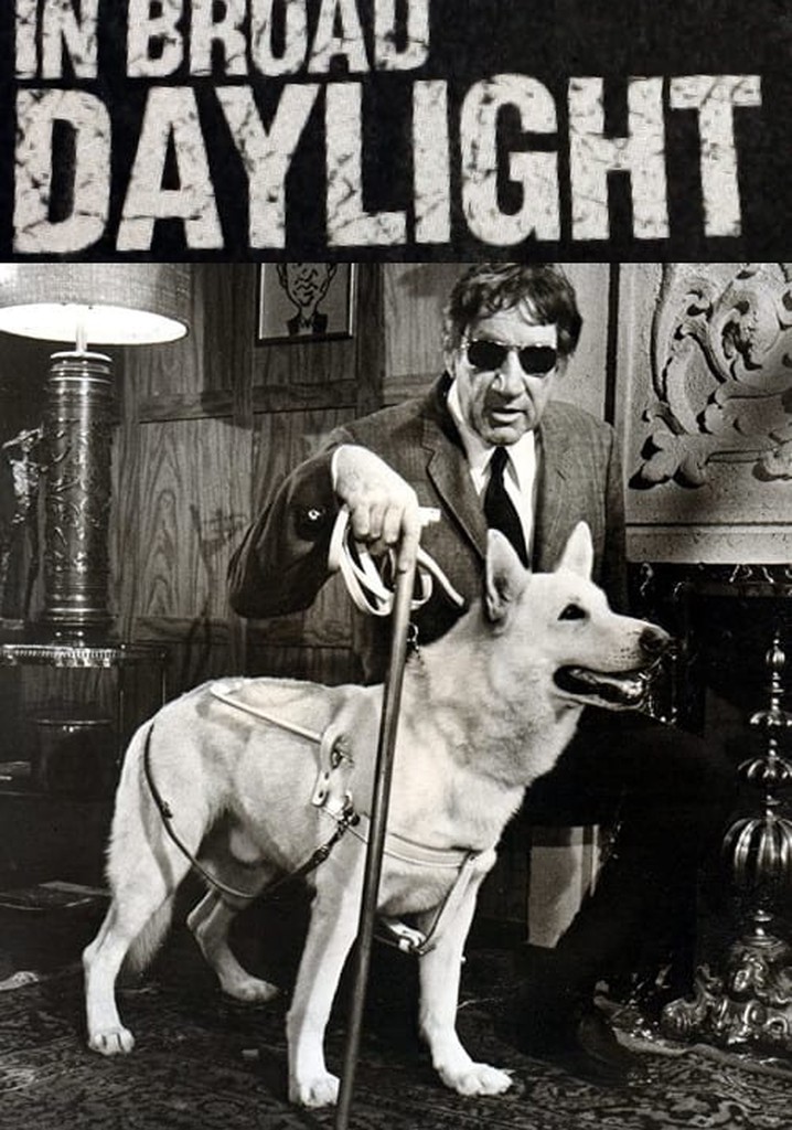In Broad Daylight poster