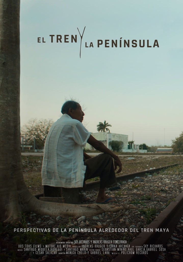 The Train and the Peninsula poster