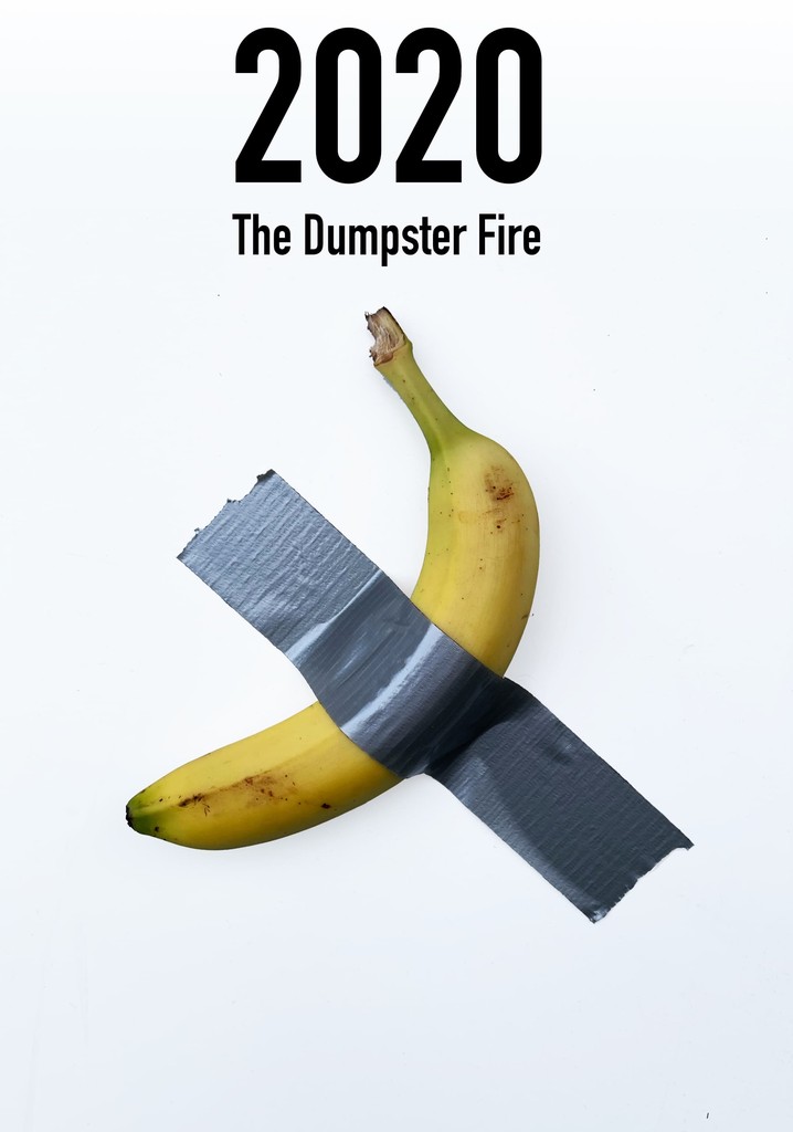 2020: The Dumpster Fire poster
