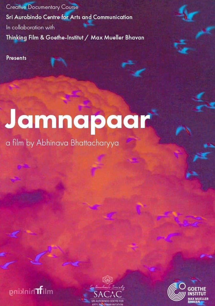 Jamnapaar poster