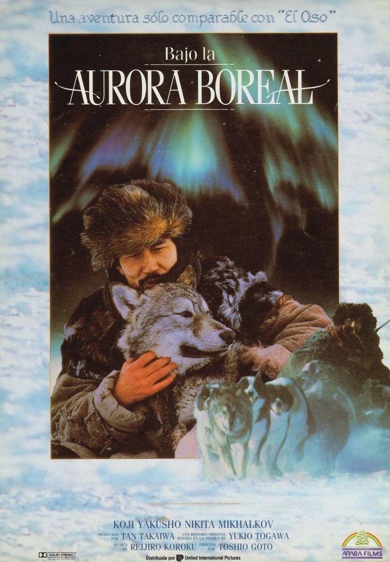 Aurora Borealis poster