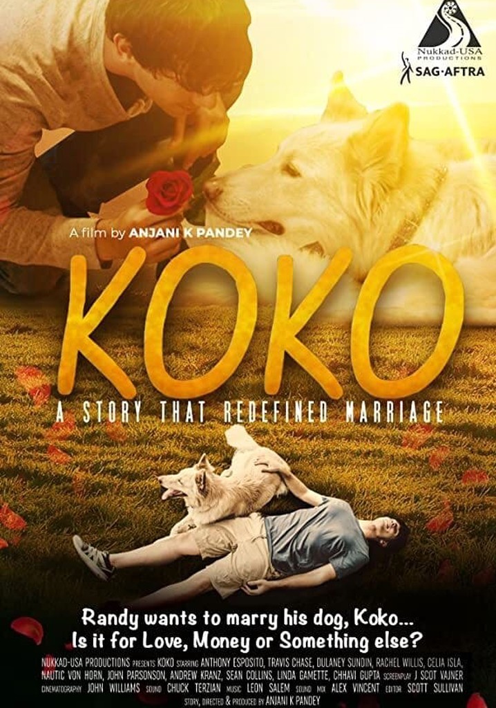 Koko poster