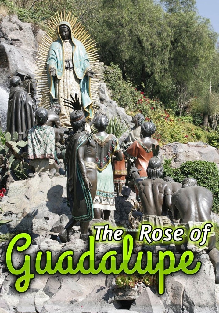 La rosa de Guadalupe poster