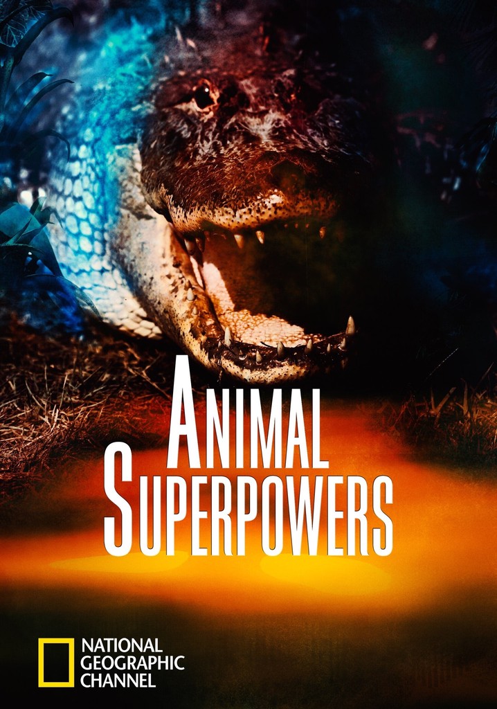 Animal Superpowers poster
