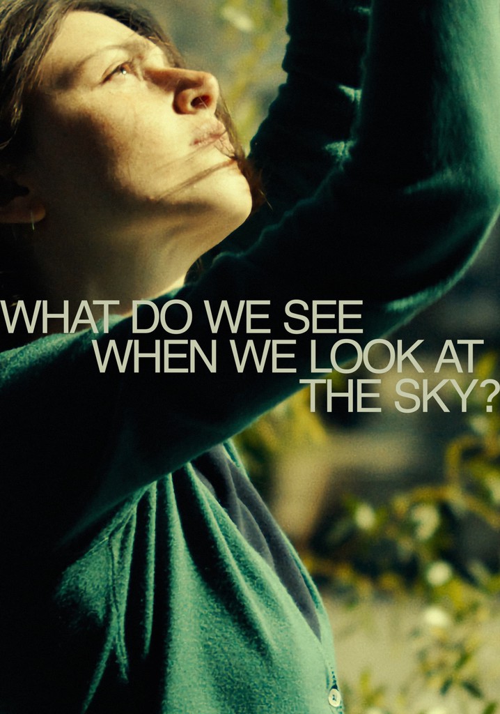 What Do We See When We Look at the Sky? poster