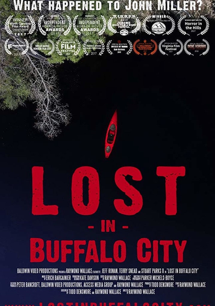 Lost in Buffalo City poster